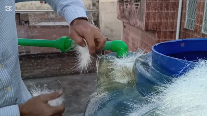 Which Termite Control Treatments Offer Long Term Protection